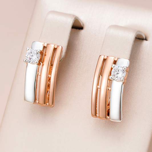 Petites Boucles d'oreilles en Or et Argent
